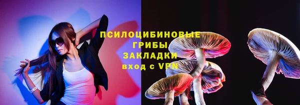 спайс Алексин