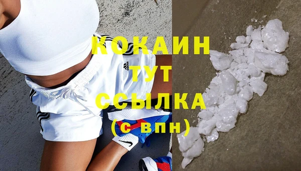 спайс Алексин